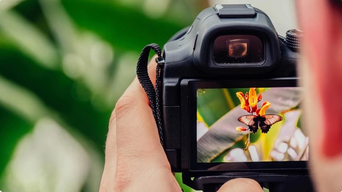 Ontdek de geheimen van succesvolle freelance fotografie