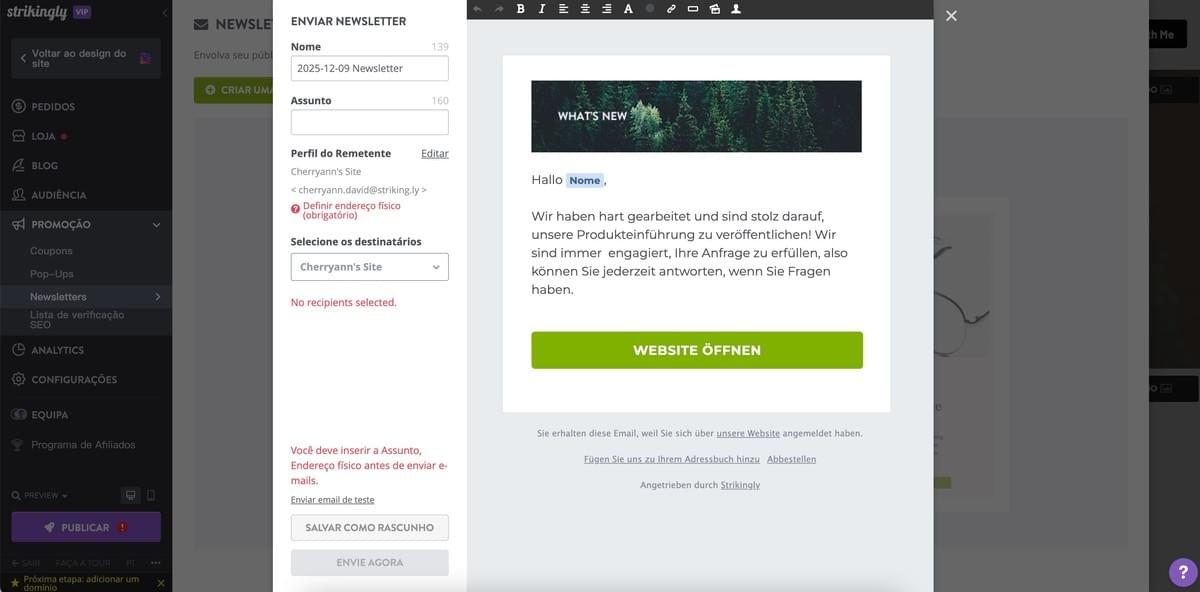Recurso de Newsletter Strikingly