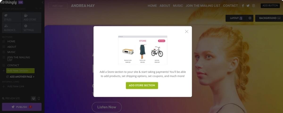 Opvallend - het bouwen van een muziekwebsite - E-commerce Mogelijkheden