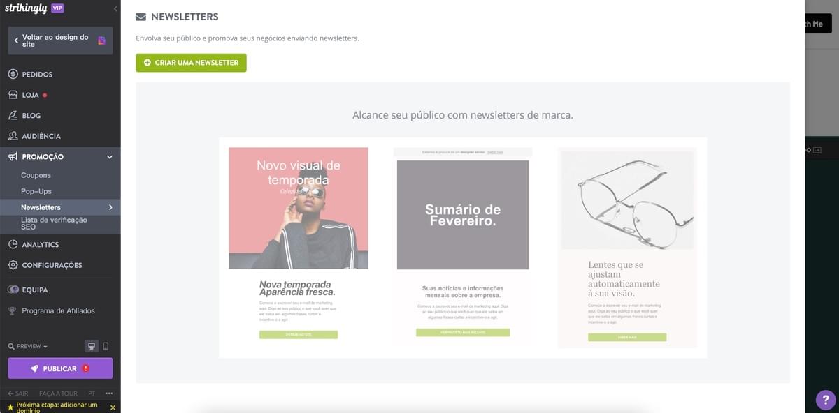 Recurso de Newsletter da Strikingly