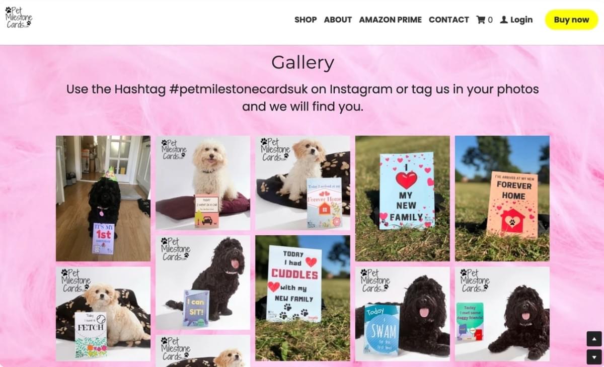 Campanha de cartões de marcos importantes para animais de estimação no Instagram
