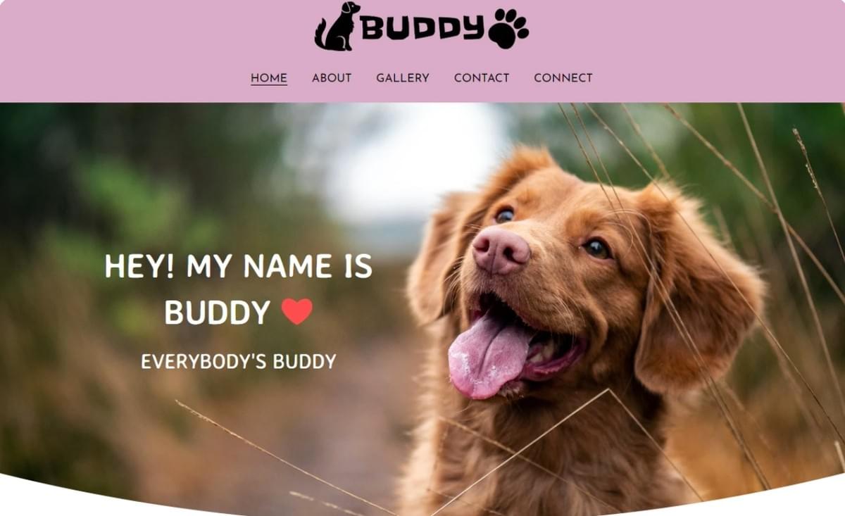 Modelo Buddy da Strikingly