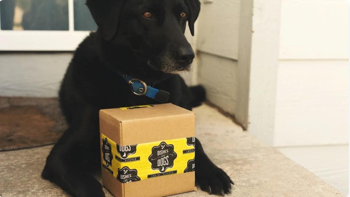 Estratégias Eficazes Para Seu Modelo de Negócio de Assinatura