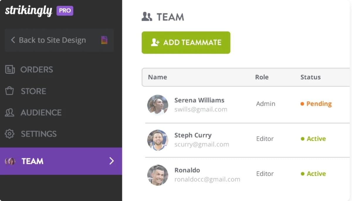 Recurso de Equipe Strikingly