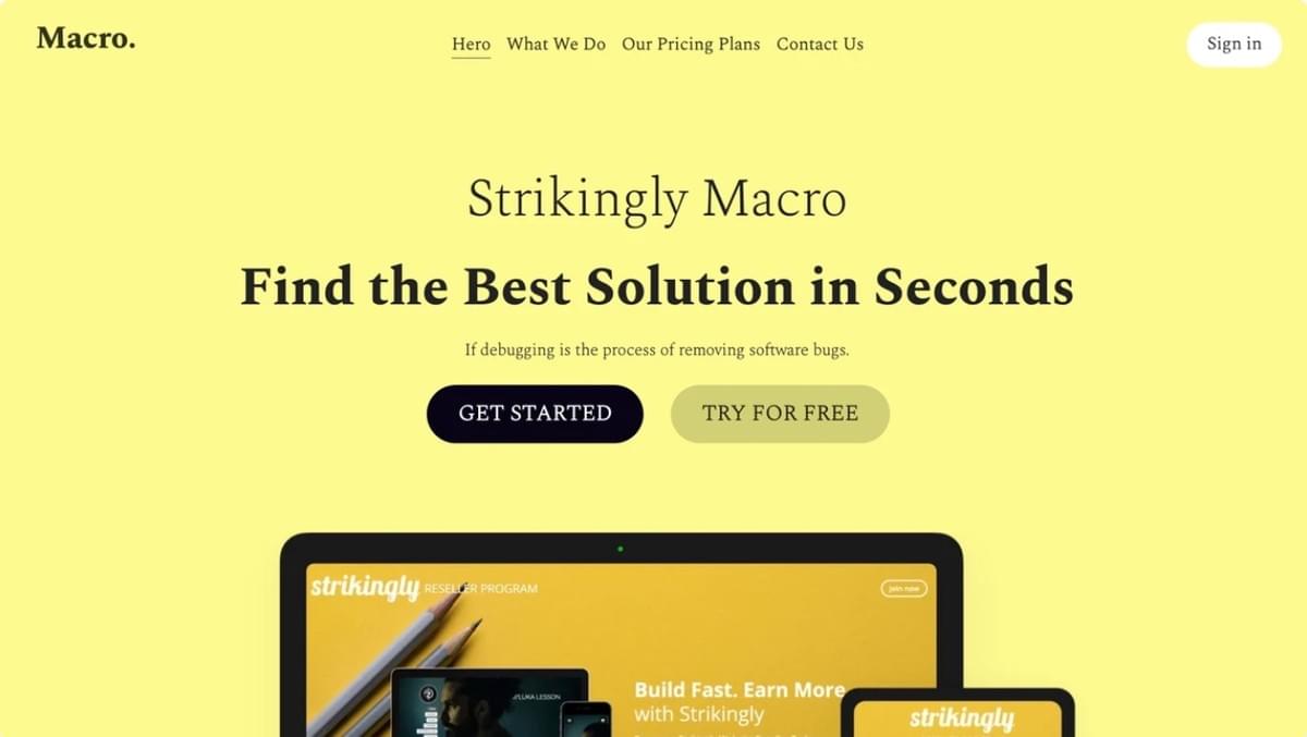 Modelo de macro da Strikingly