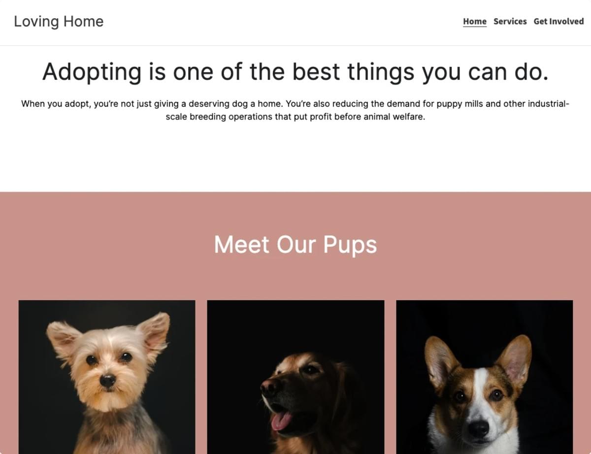 Loving Home Nonprofit Website Ontwerp Sjabloon