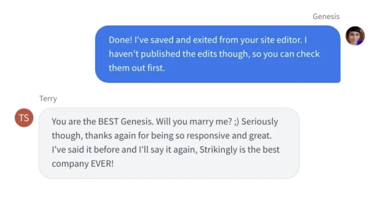 Chat de Suporte ao Cliente Strikingly