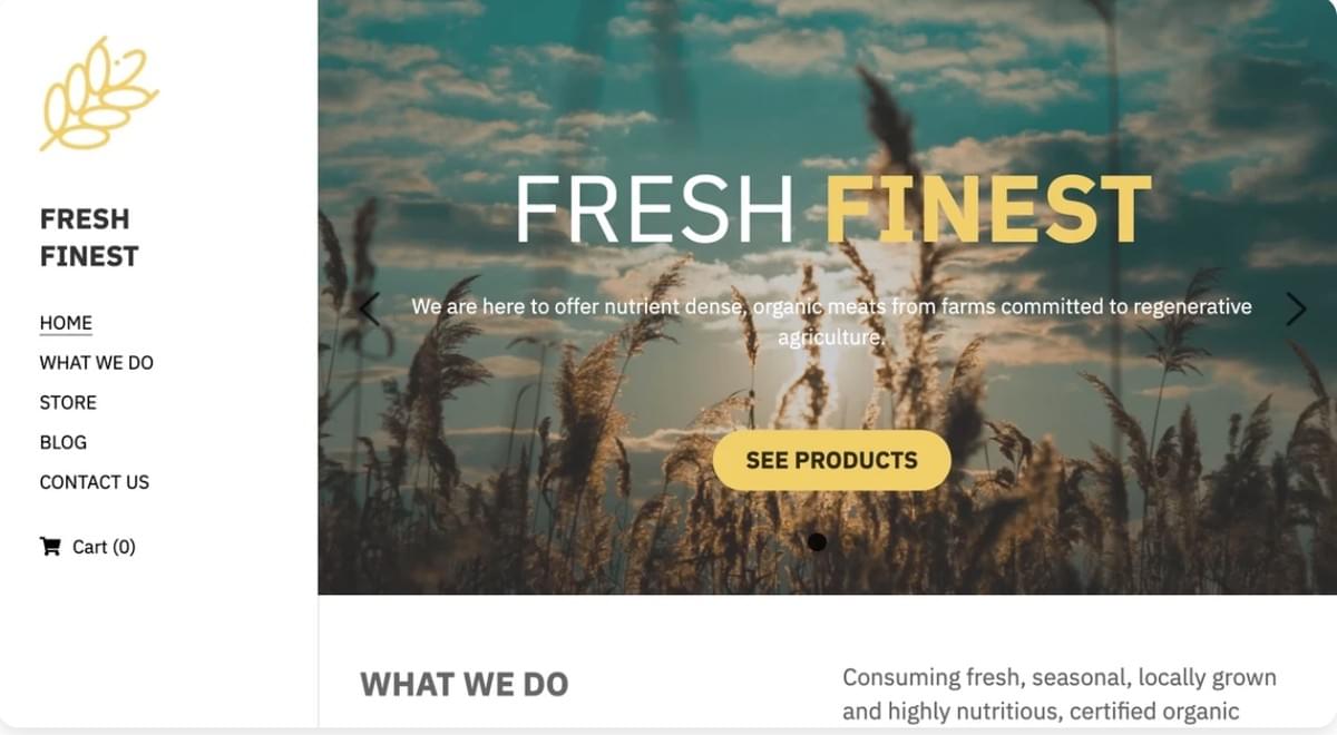 Modelo Fresco e Refinado da Strikingly