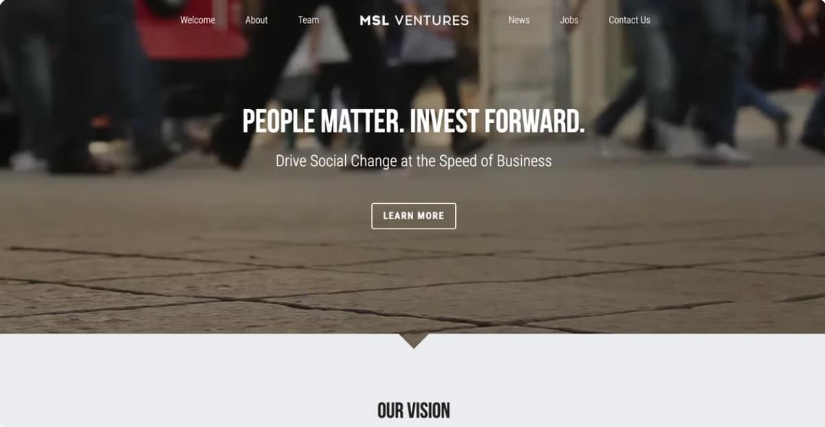 MSL Ventures Template van Strikingly