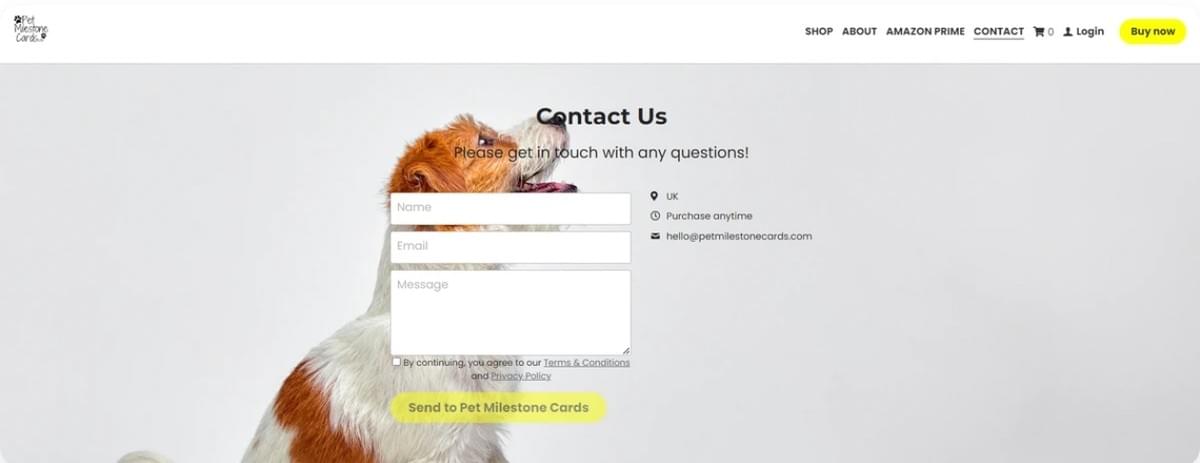 Milestone Business-E-Mail-Service