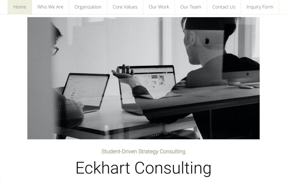 Modelo minimalista da Strikingly