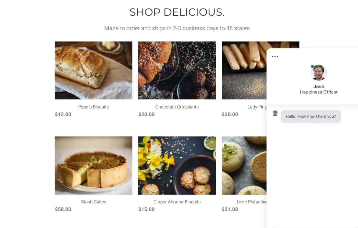 Minimal Store Template mit Live-Chat