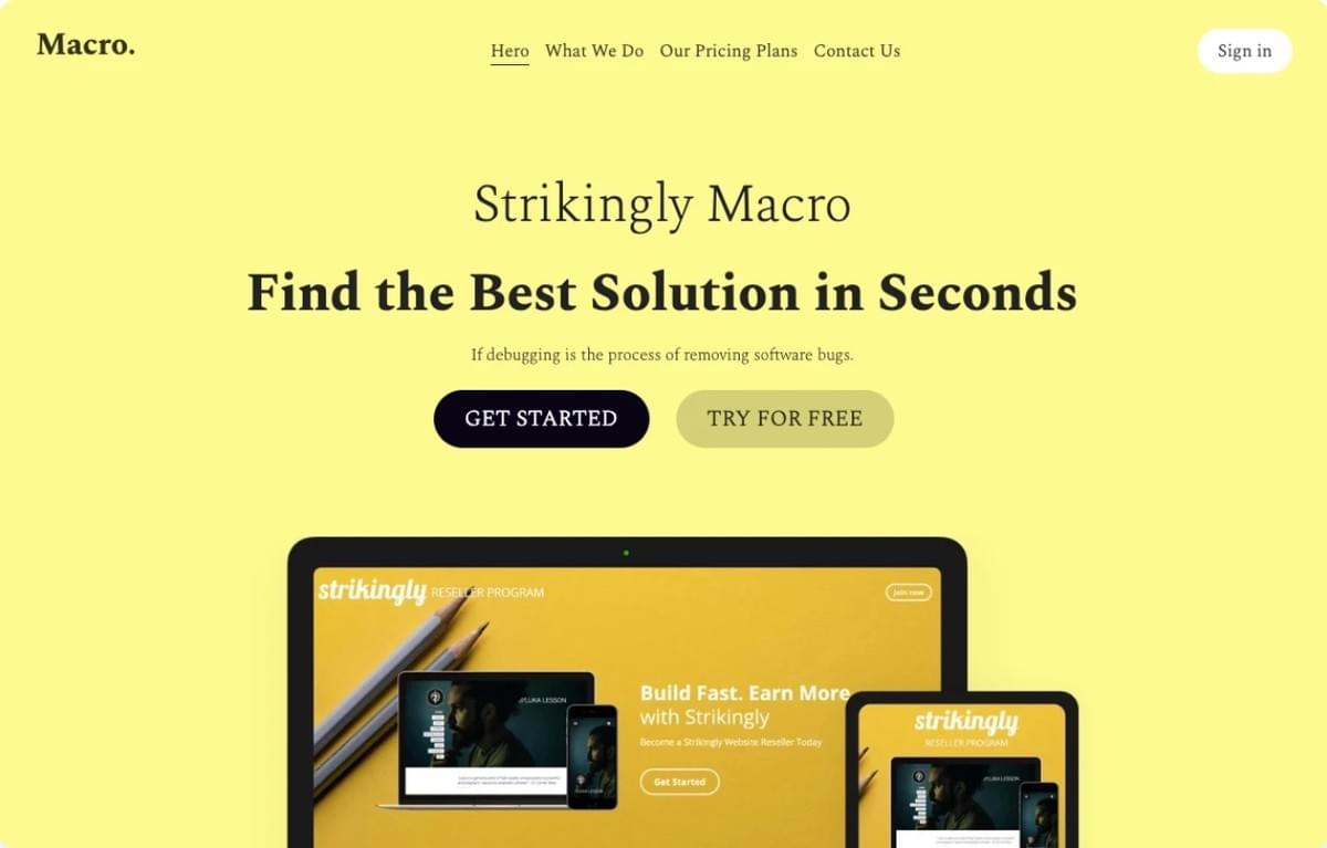 Makrovorlage von Strikingly