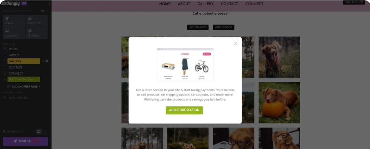 Como iniciar um negócio online com a Strikingly - Configure Recursos de E-commerce (Se Aplicável)