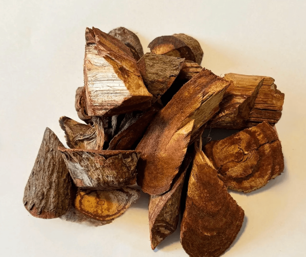 CAPADULLA (Doliocarpus dentatus) by case 