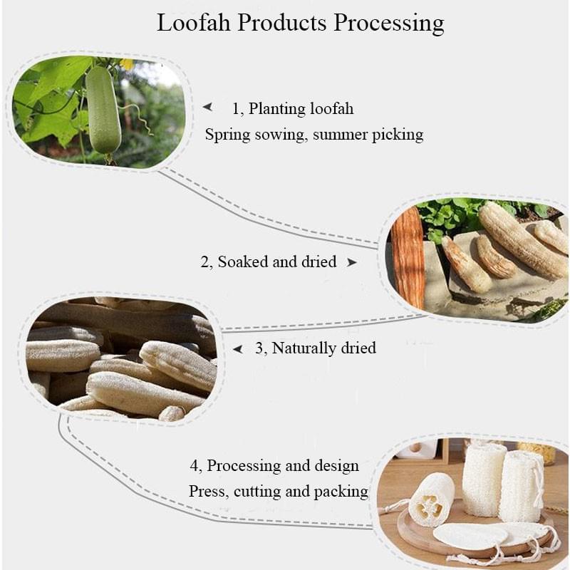 Loofah Sponges 100 % Natural