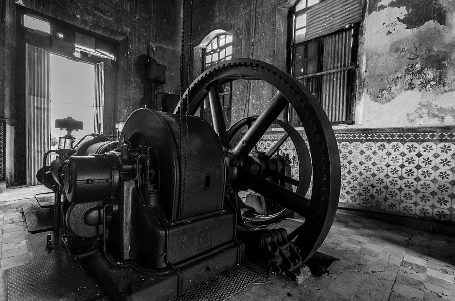 Sisal the white gold