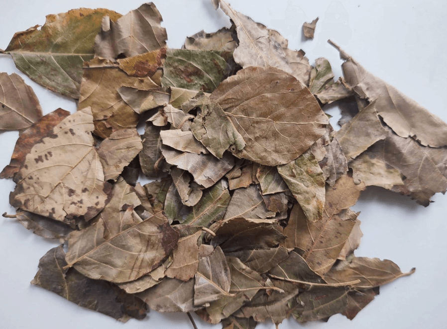 KINKELIBA SEH-HAW Dried Leaves (Combretum Micranthum) by case