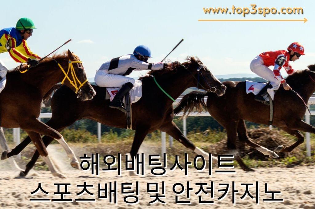 Three horses with the horse racer trying to win the champion. 