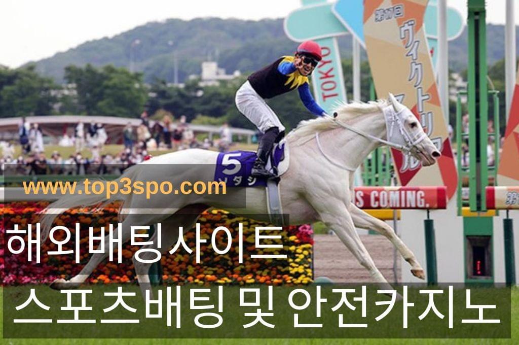 White horse and happy jockey wins the race.