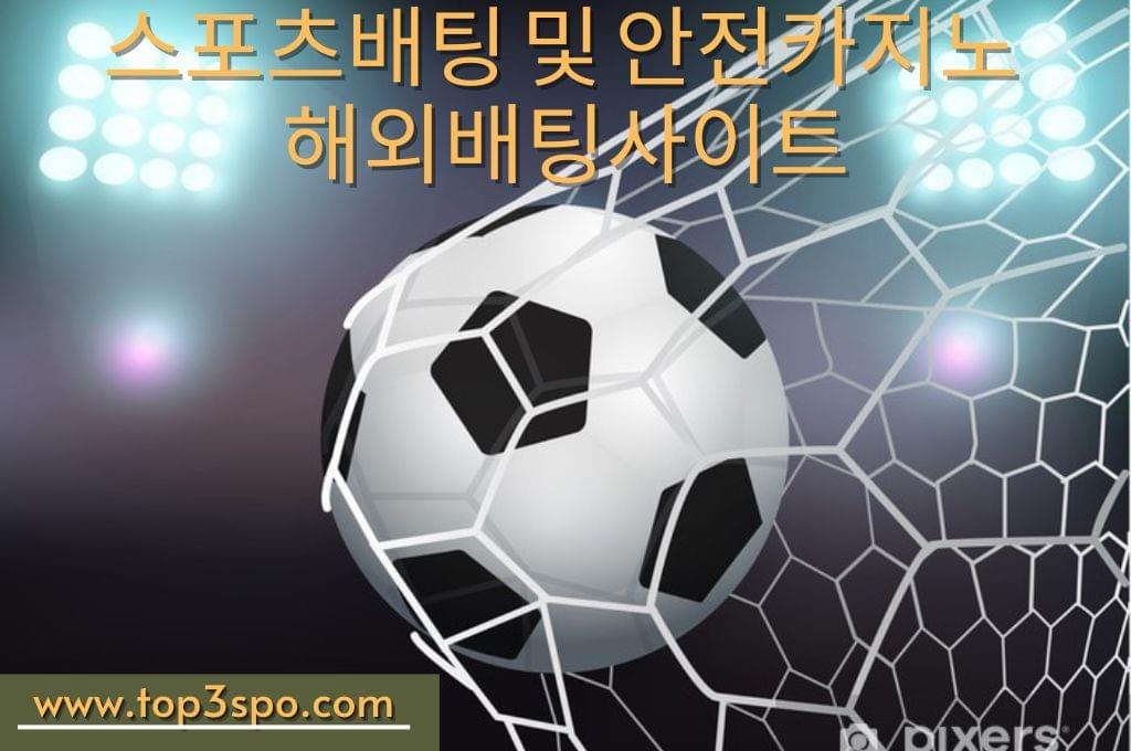 Soccer Ball Scores a Goal on the Net