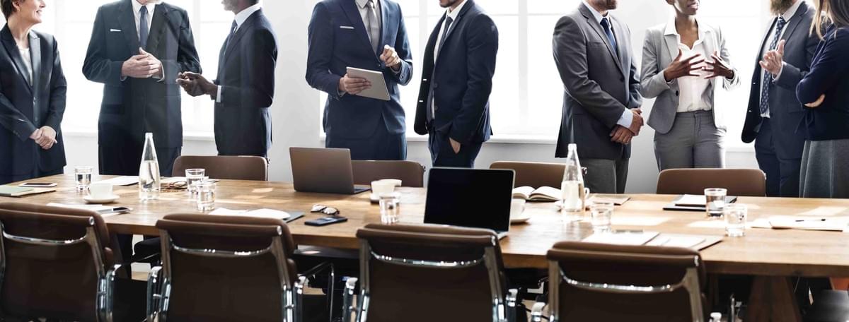 Audit de Gouvernance, organisation Gouvernance, Administrateur, Board