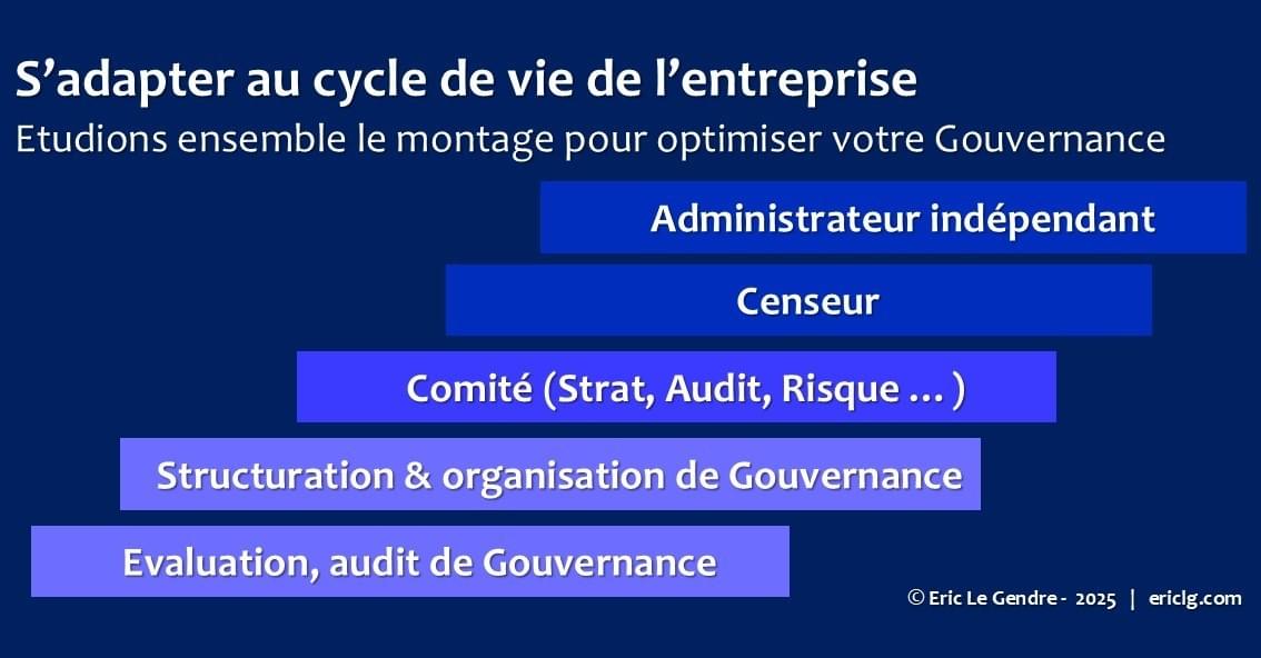 Audit de Gouvernance, organisation Gouvernance, Administrateur, Board