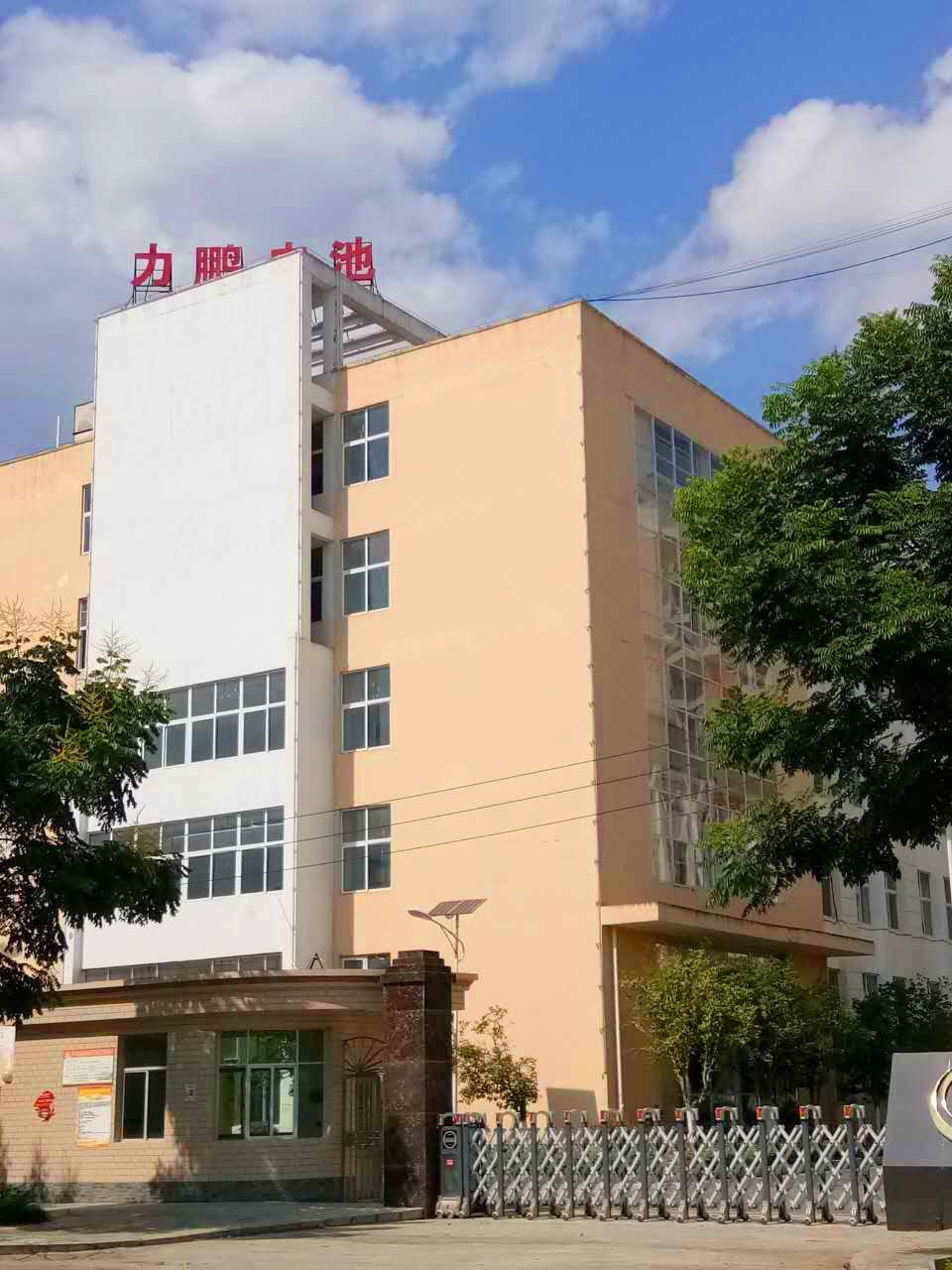 Section image