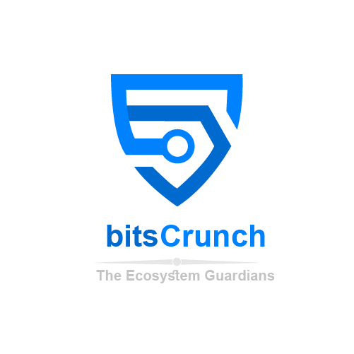 bitsCrunch NFT