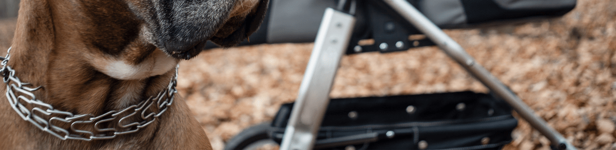 The Cost of Quick Fix