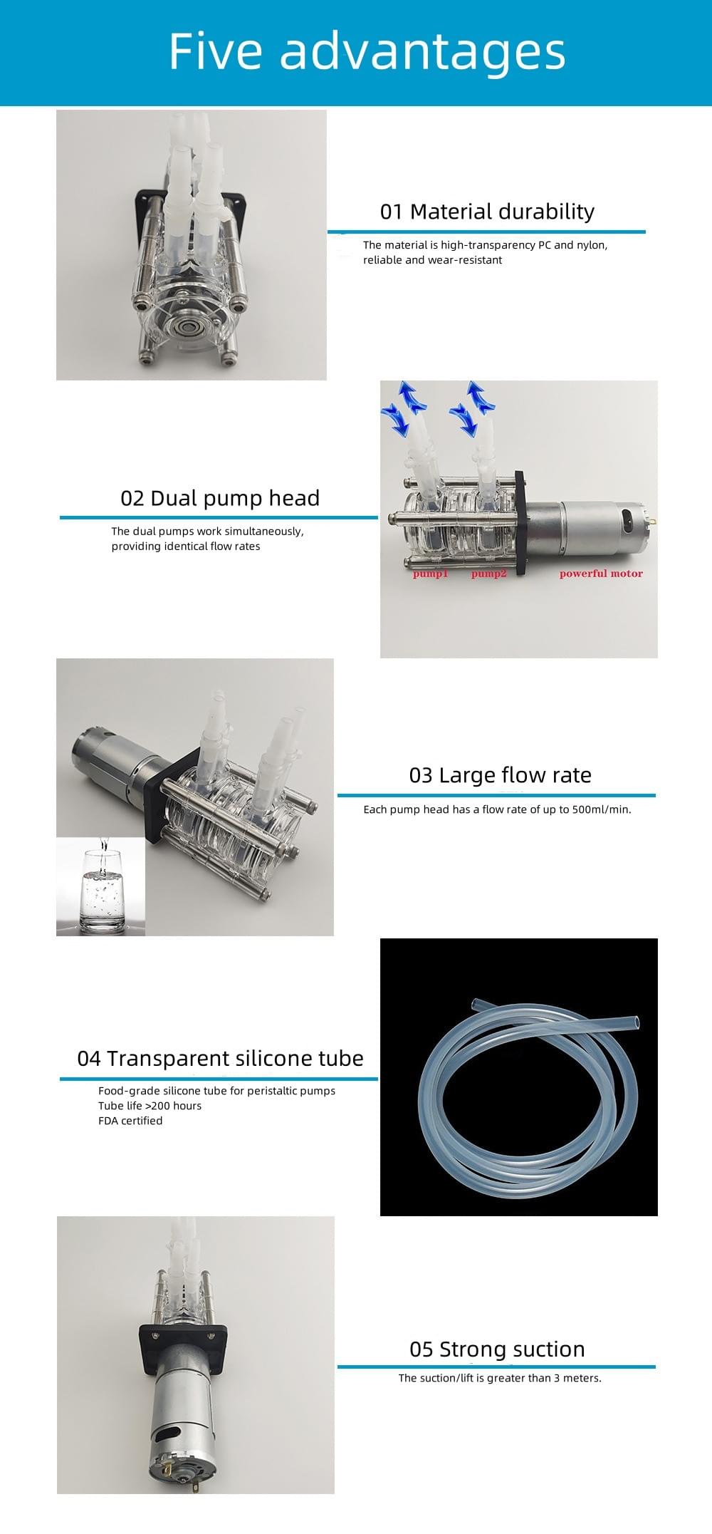 Stainless Steel Dual-Head Peristaltic Pump - High Flow, Anti-Corrosive, Self-Priming, 12V/24V Option