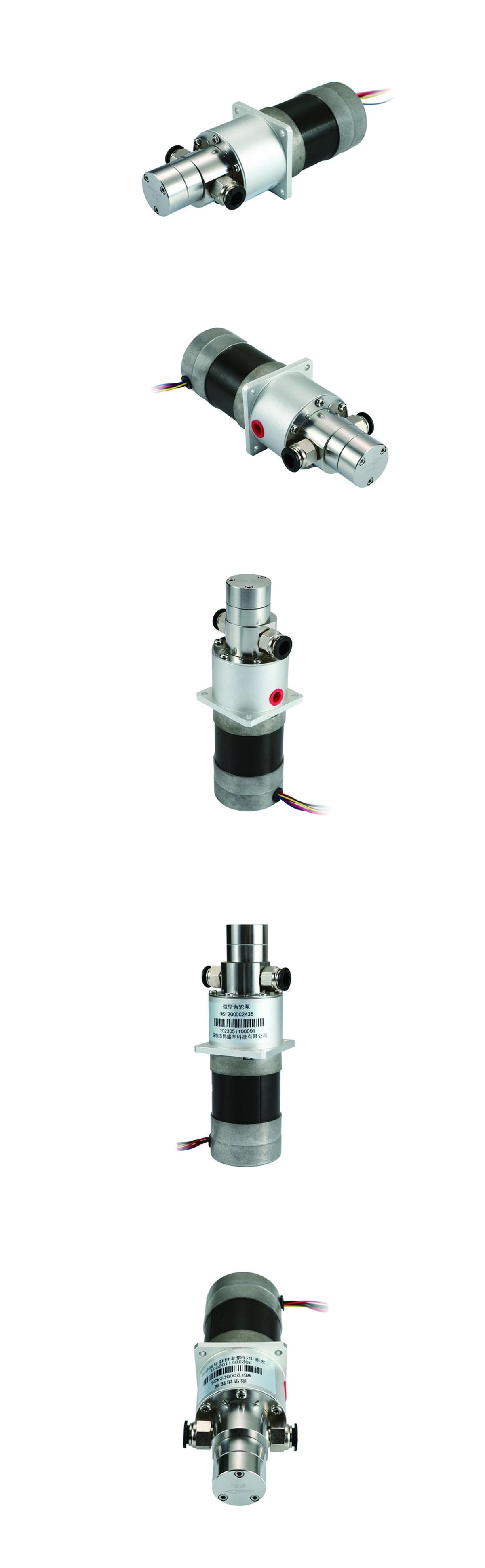 High-Precision Corrosion-Resistant Magnetic Drive Gear Pump for Food and Beverage Industries
