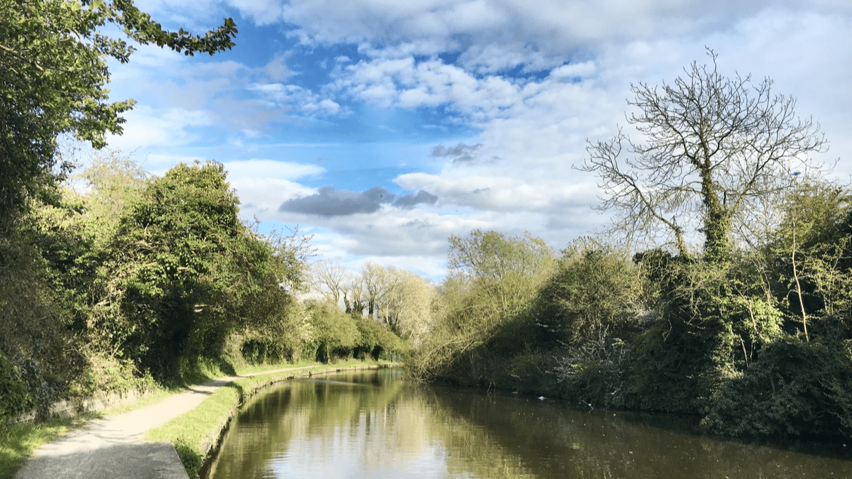 Photo of a peaceful park with views of a river, trees, clouds, and a sidewalk.