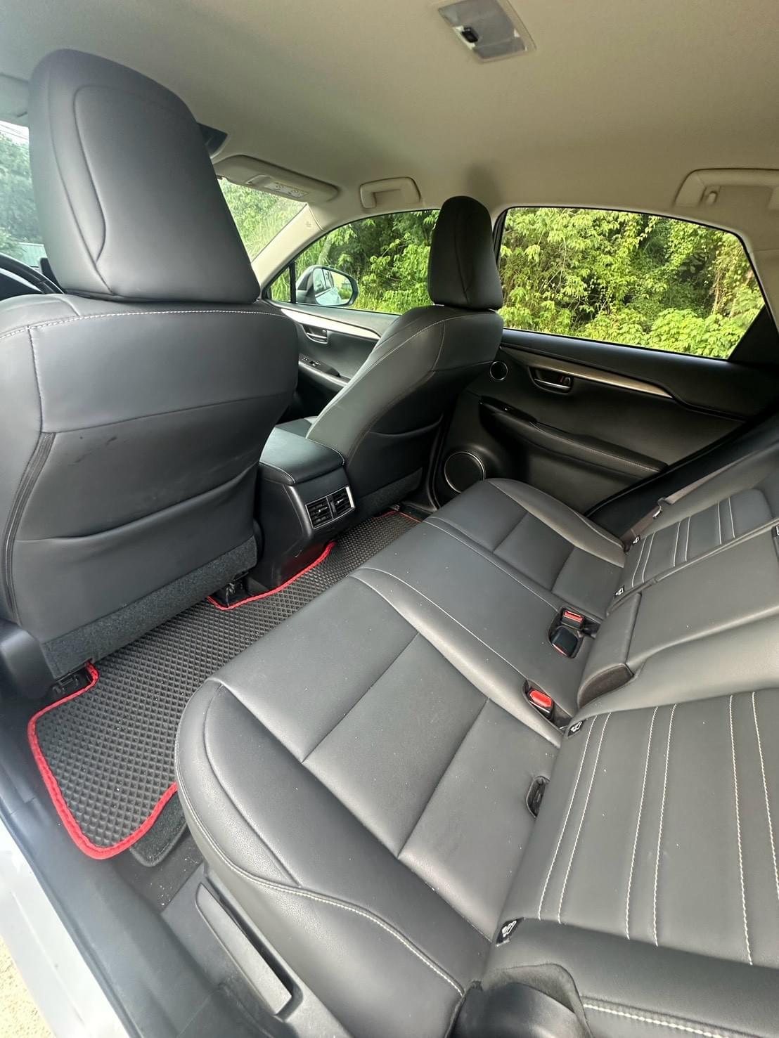 2020式  Lexus NX 200