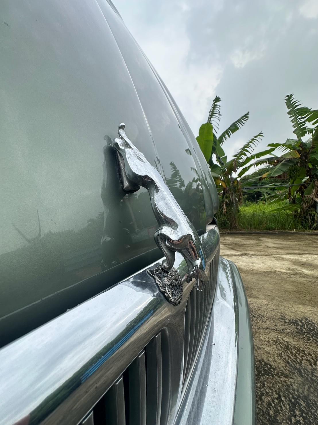 1995  Jaguar  XJ6 X300 