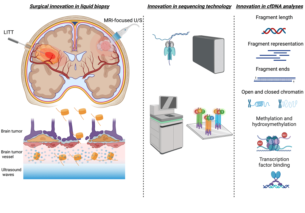 Explore our pioneering research in genomic and epigenomic liquid biopsy techniques Advancing Brain Tumor Detection Through Innovation The Molecular Neuro-oncology lab is focused on developing genomic and epigenomic liquid biopsy approaches for non-invasive detection of brain tumors. The work performed is multidisciplinary and includes physicians, molecular biologists, and bioinformaticians.