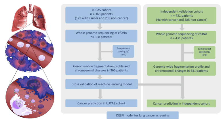 Explore our pioneering research in genomic and epigenomic liquid biopsy techniques Advancing Brain Tumor Detection Through Innovation The Molecular Neuro-oncology lab is focused on developing genomic and epigenomic liquid biopsy approaches for non-invasive detection of brain tumors. The work performed is multidisciplinary and includes physicians, molecular biologists, and bioinformaticians.