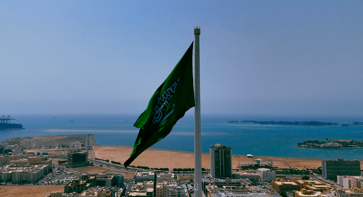 اليوم الوطني ٩٥ — الصورة الافتتاحية