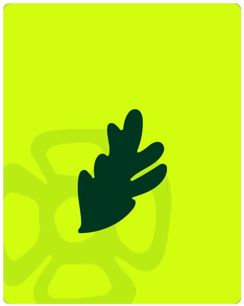 Mantenimiento de áreas verdes