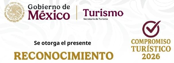 Imagen 5