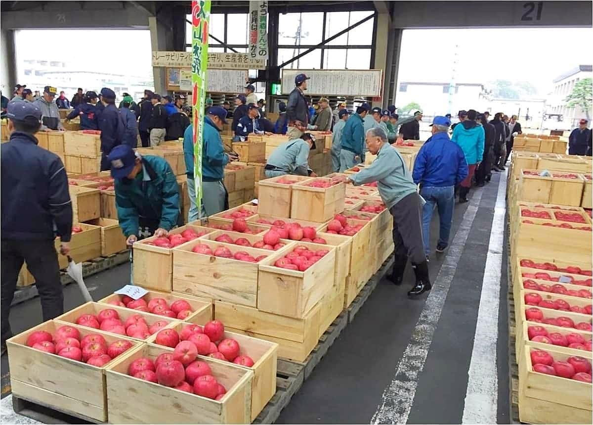 Advanced Produce Centre Development