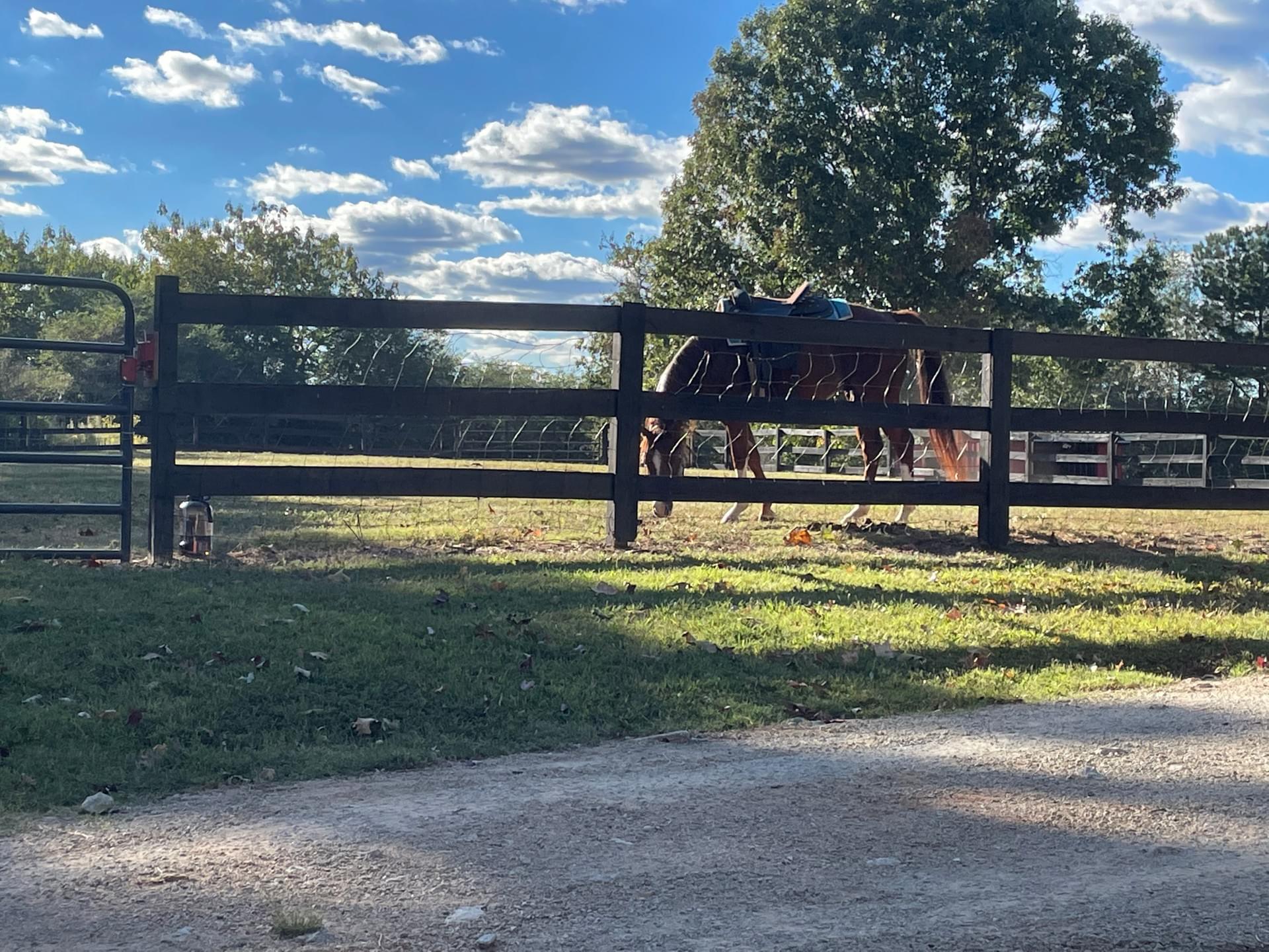 Elizabeth Farms LLC
