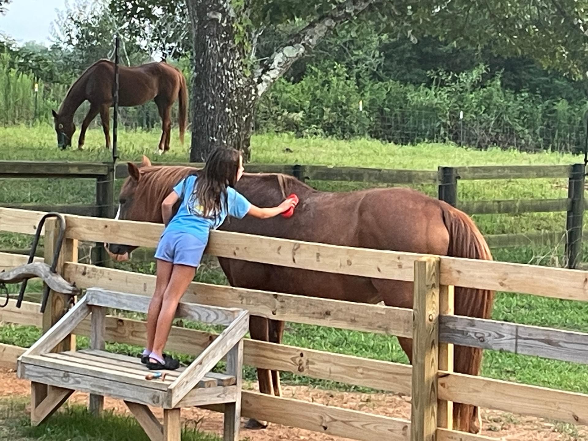 Elizabeth Farms LLC