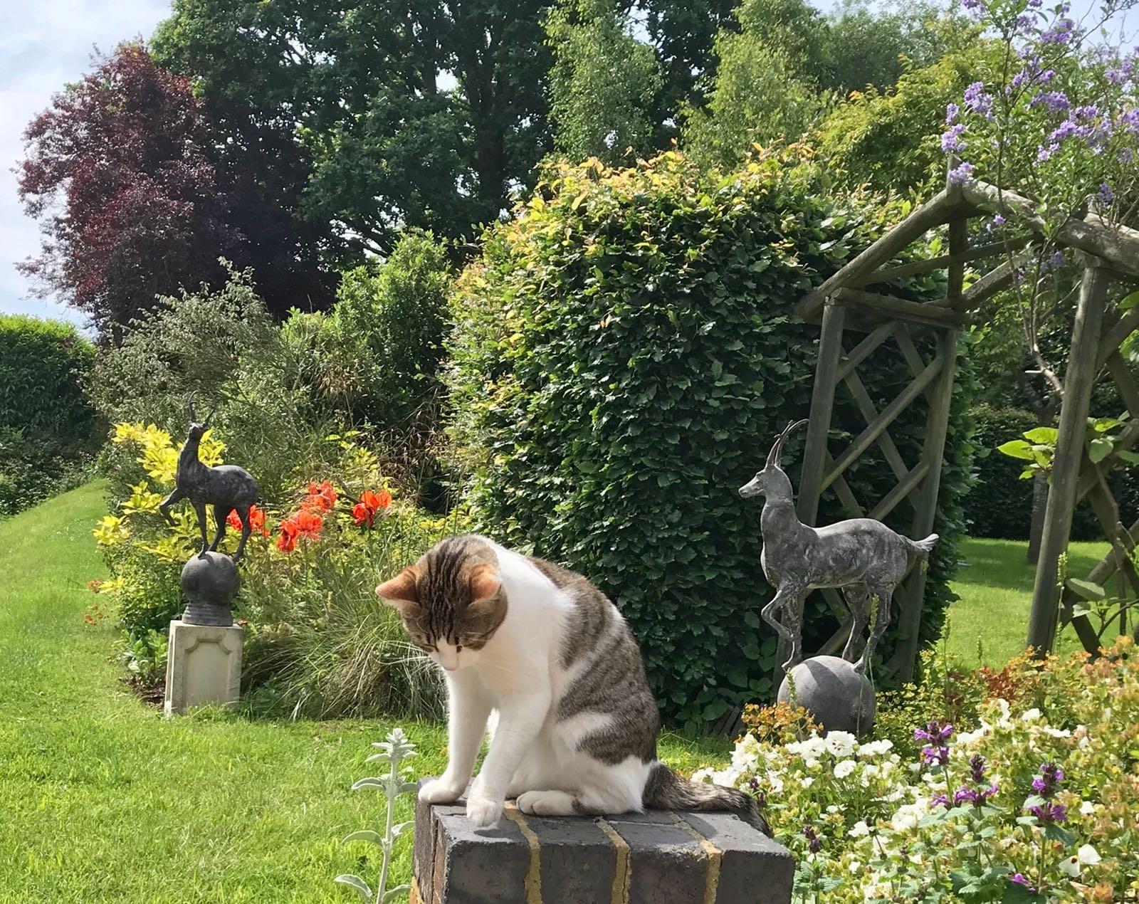 The Brooklands Art Studio