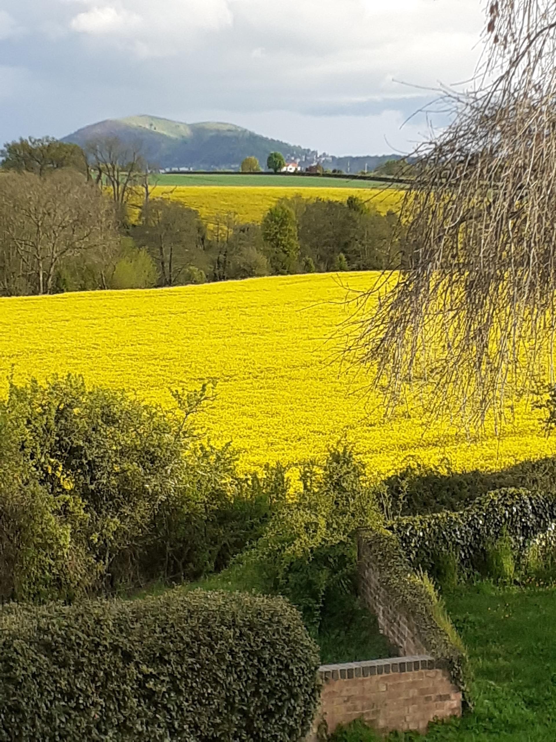 The Brooklands Art Studio
