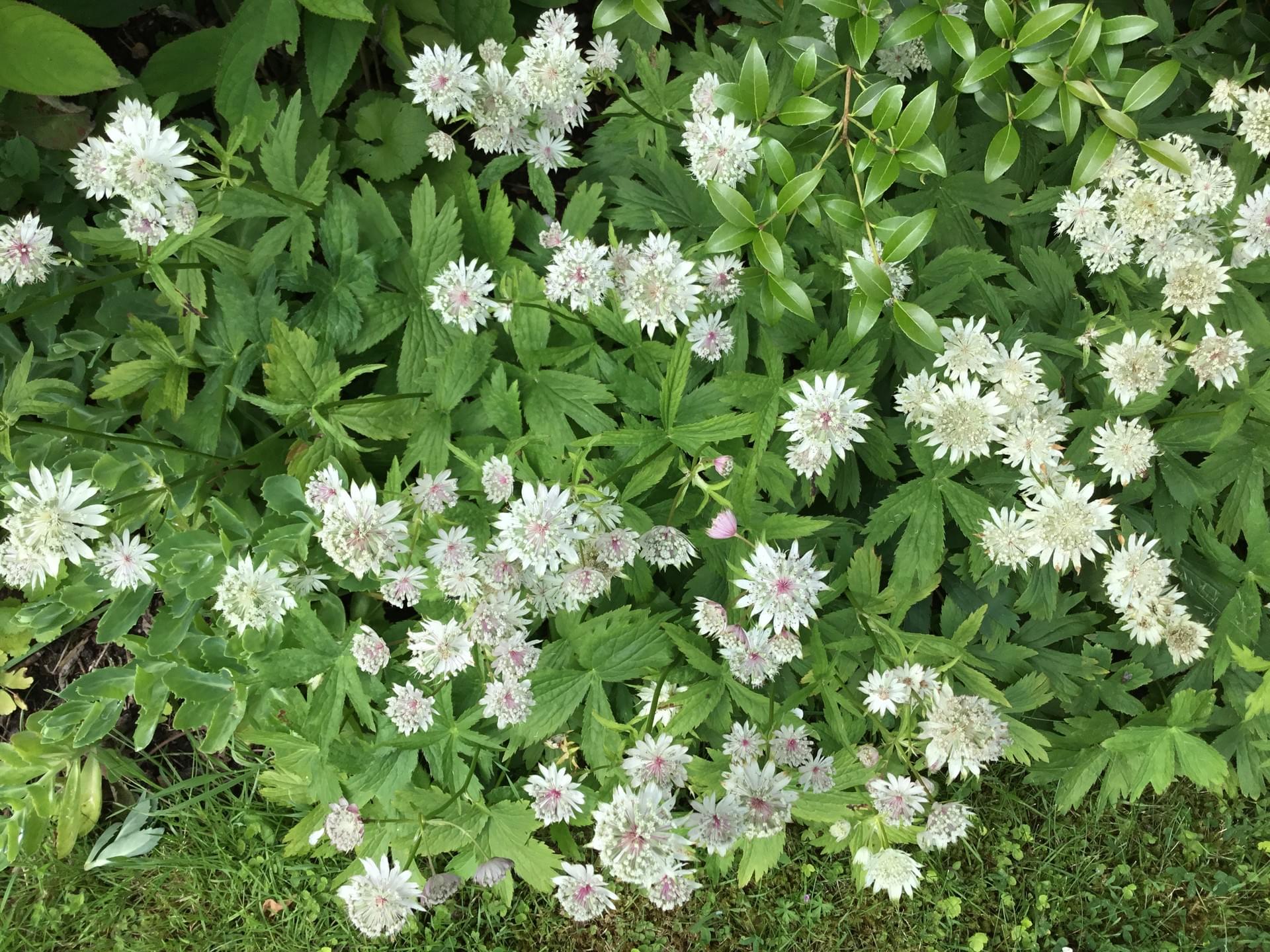 The Brooklands Art Studio