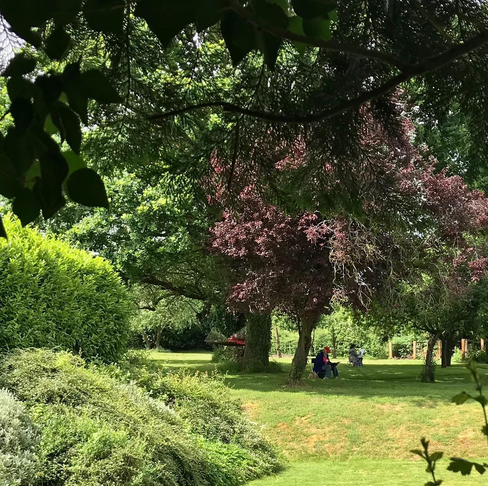 The Brooklands Art Studio