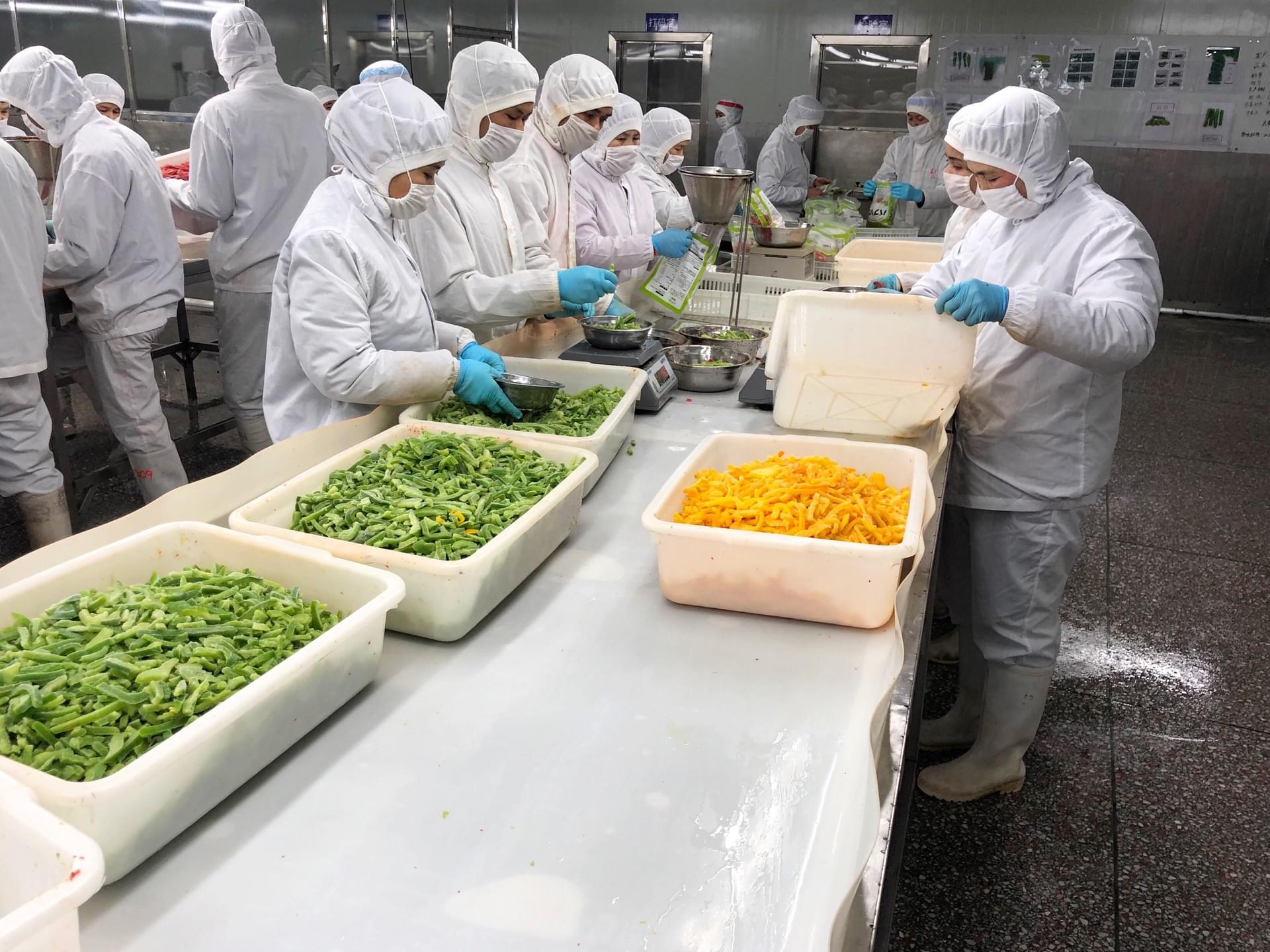 SINOFROST Frozen Food Products