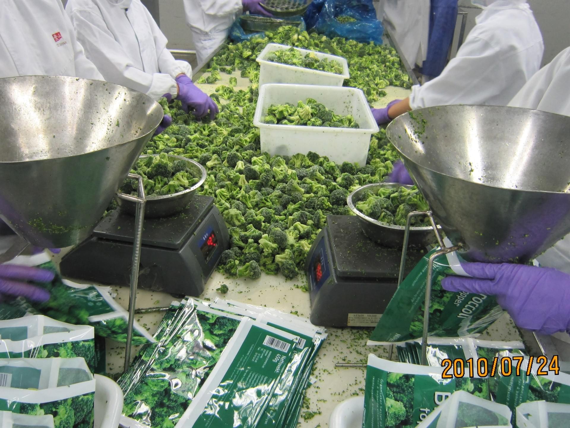 ISO, BRC, HALAL, HACCP Certified IQF Frozen Broccoli Supplier China