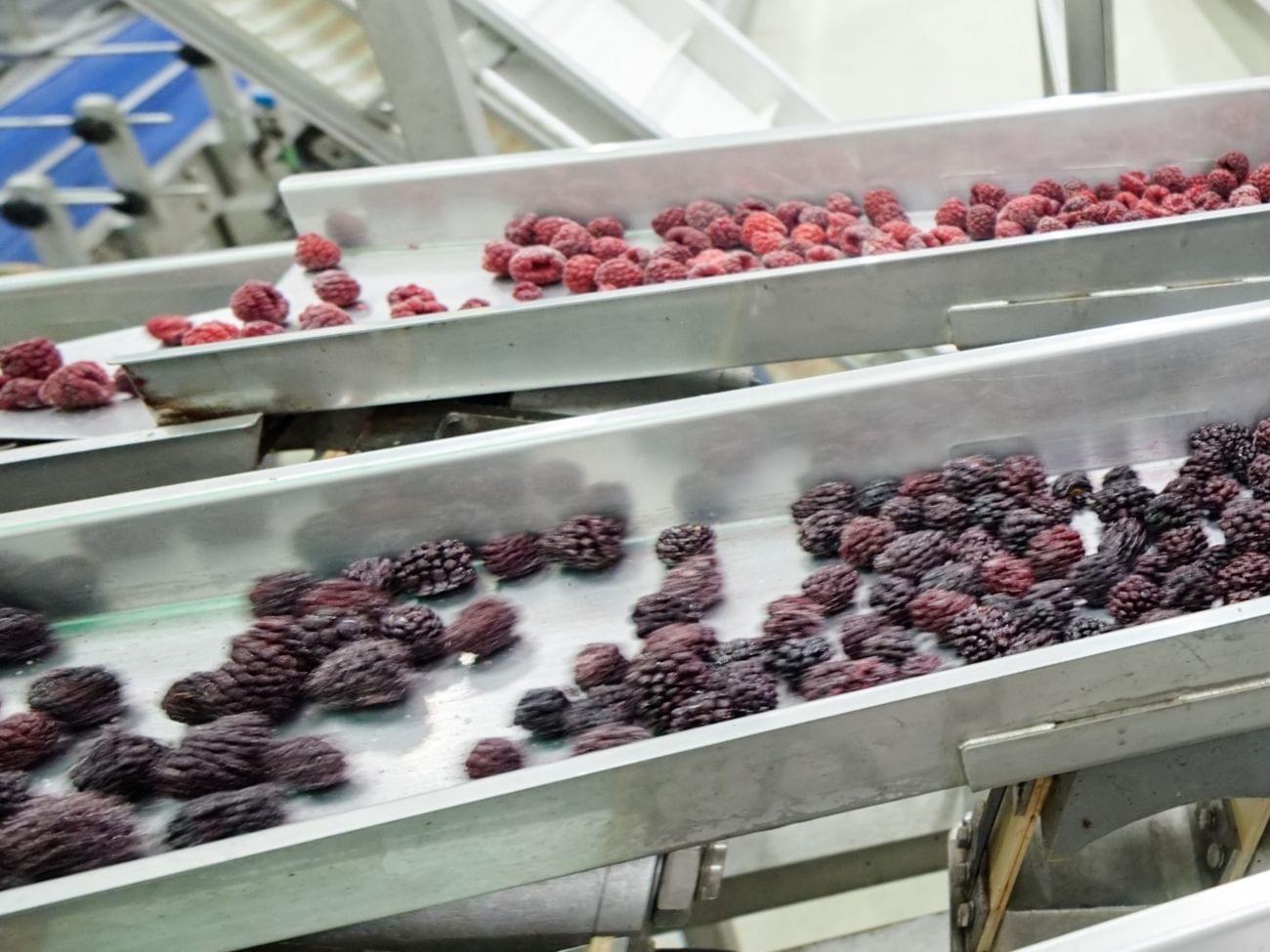 IQF Frozen Mixed Berries Supplier | BRC, HALAL, KOSHER, SEDEX